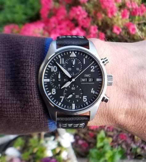 iwc watch review